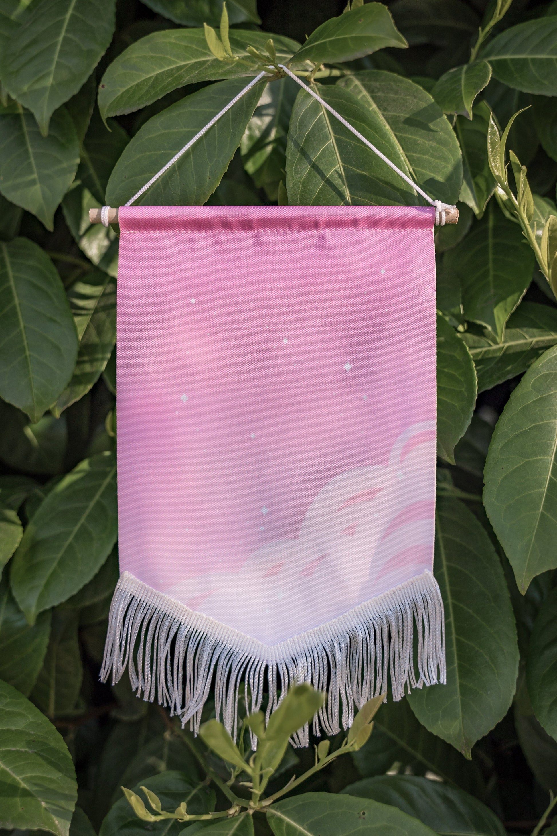 Enamel Pin Banners
