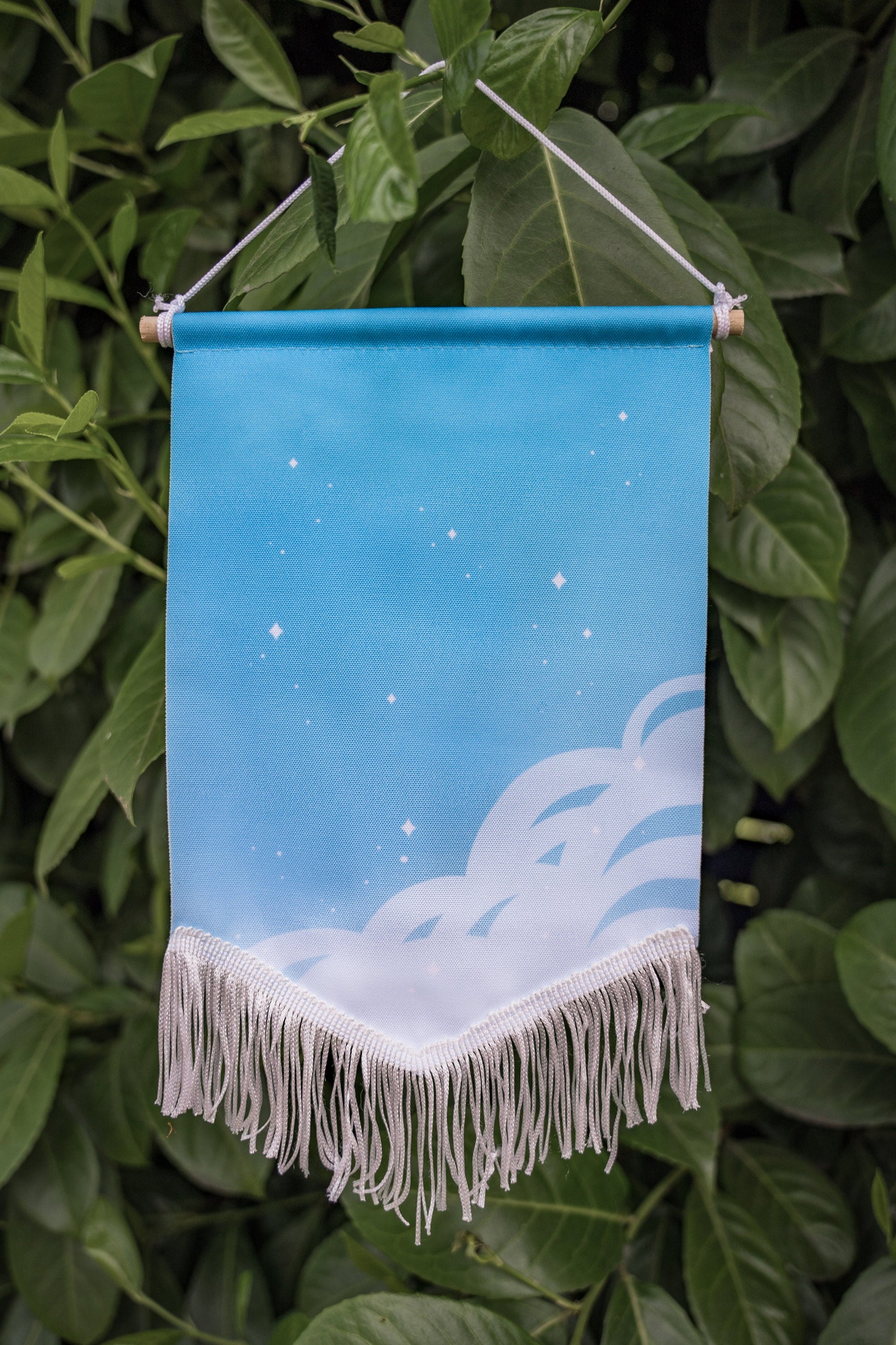 Enamel Pin Banners